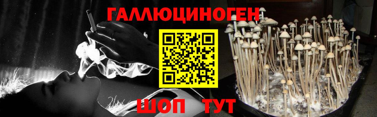 Галлюциногенные грибы Cubensis  Вход с VPN  Псилоцибиновые грибы мицелий  Минеральные Воды 