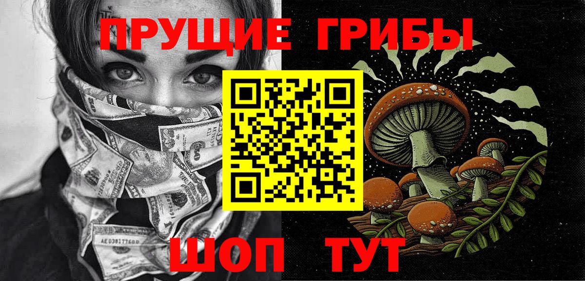 Галлюциногенные грибы Psilocybe Минеральные Воды